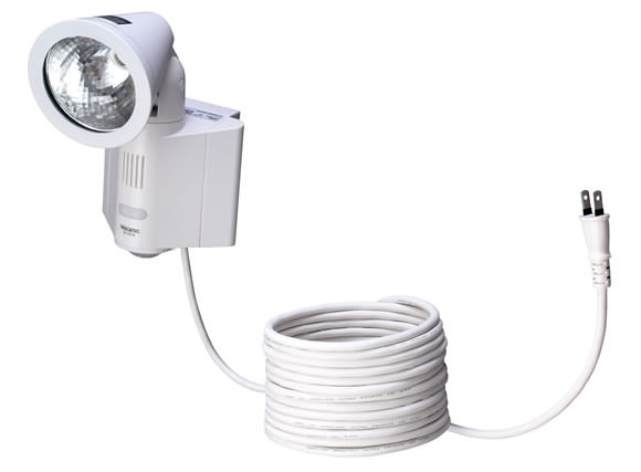 全体写真 (フード無し)