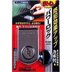 パワーロック　ブロンズのブリスタパック